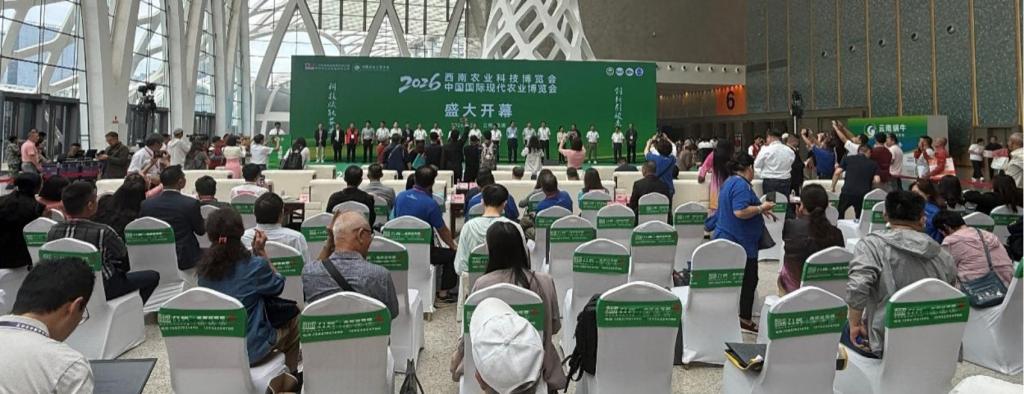 充分发挥自身学科
